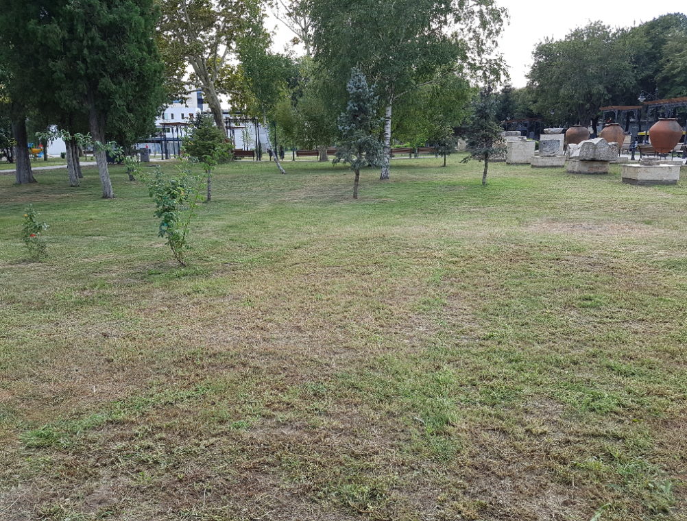 info-sud-est-parcul-arheologic-constanta (7)