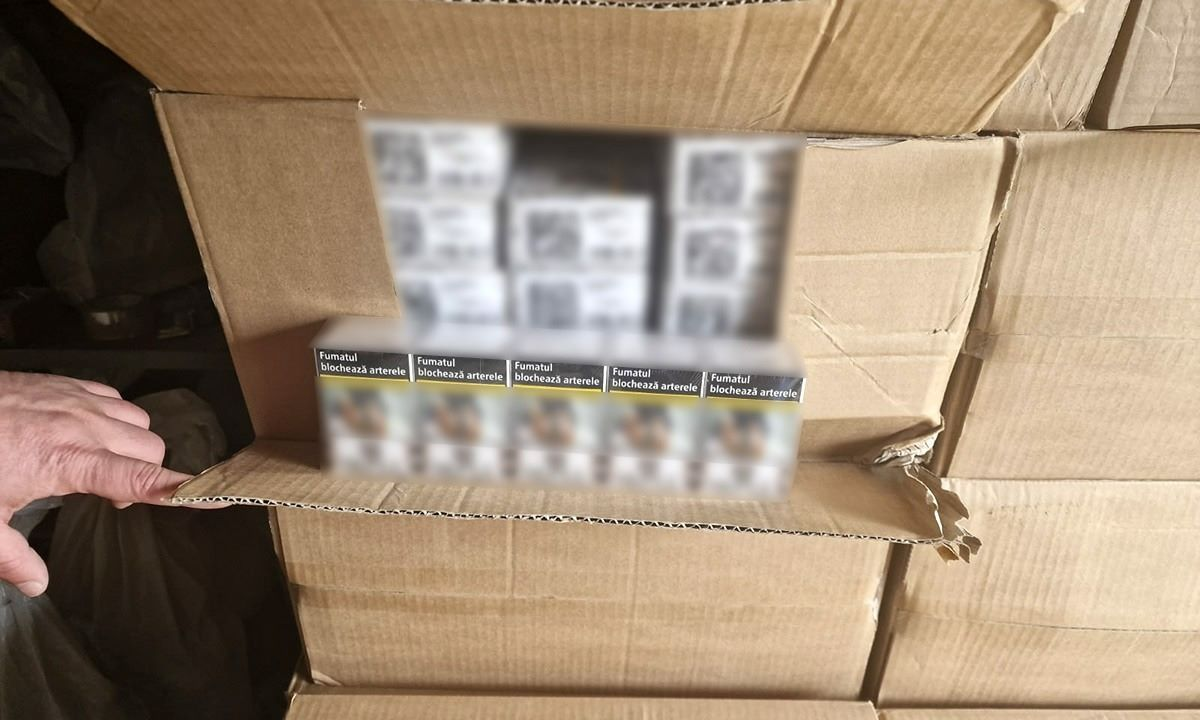 tigari contrabanda cutii