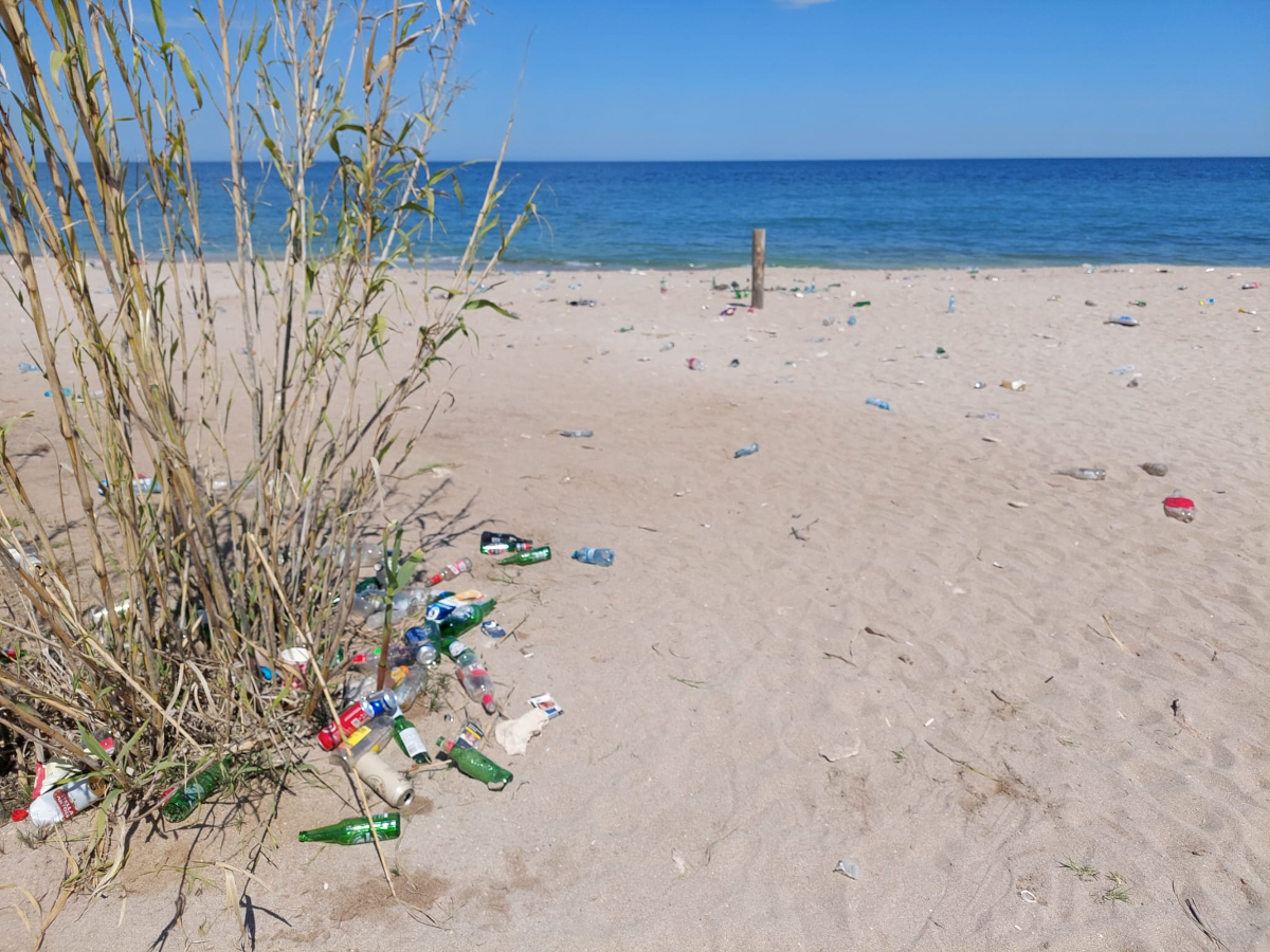 vama-veche-plaja-deseuri-peturi-