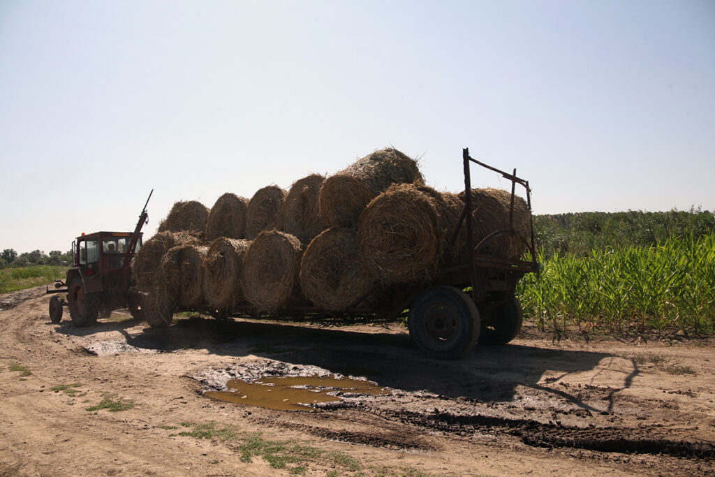 chilia veche delta dunarii dunare barci vapor tulcea cereale ucraina