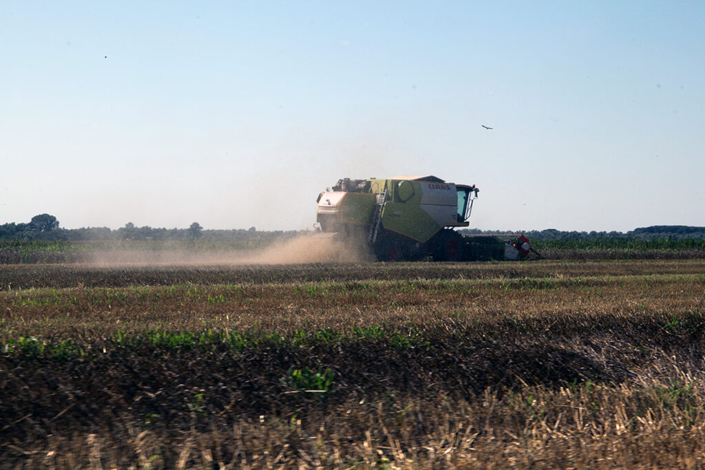 chilia veche delta dunarii dunare barci vapor tulcea cereale ucraina
