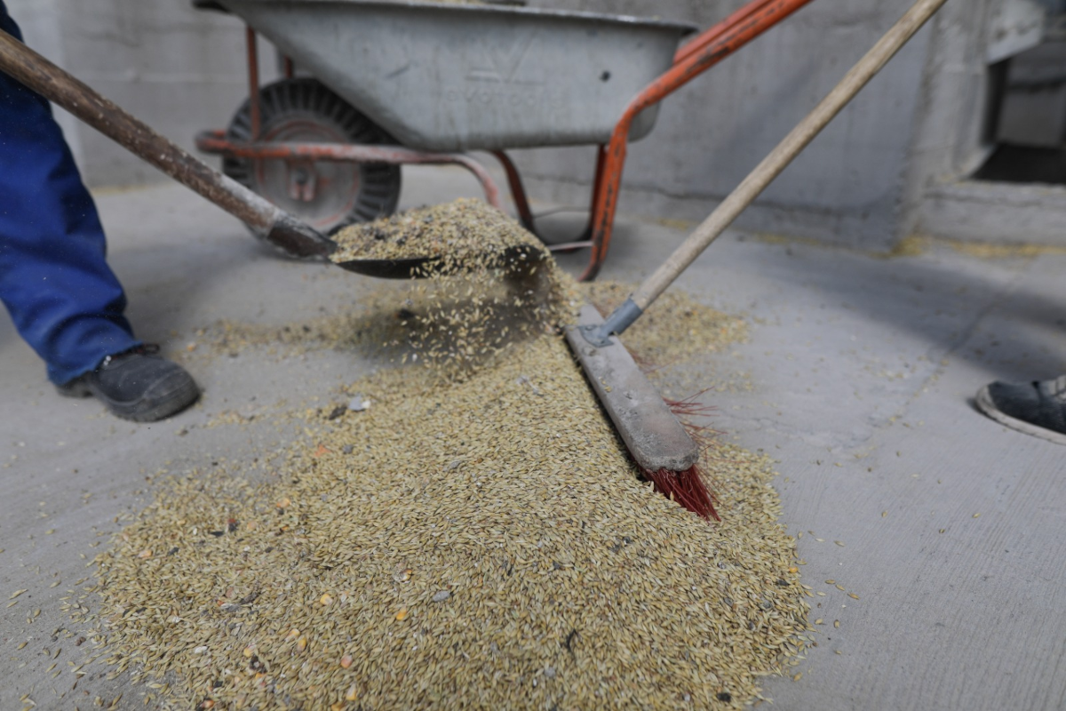 cereale port constanta