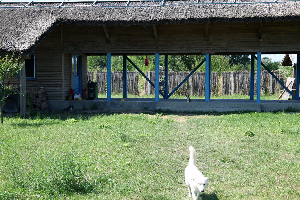 ostrovu tataru chilia case stuf penitenciar detinuti