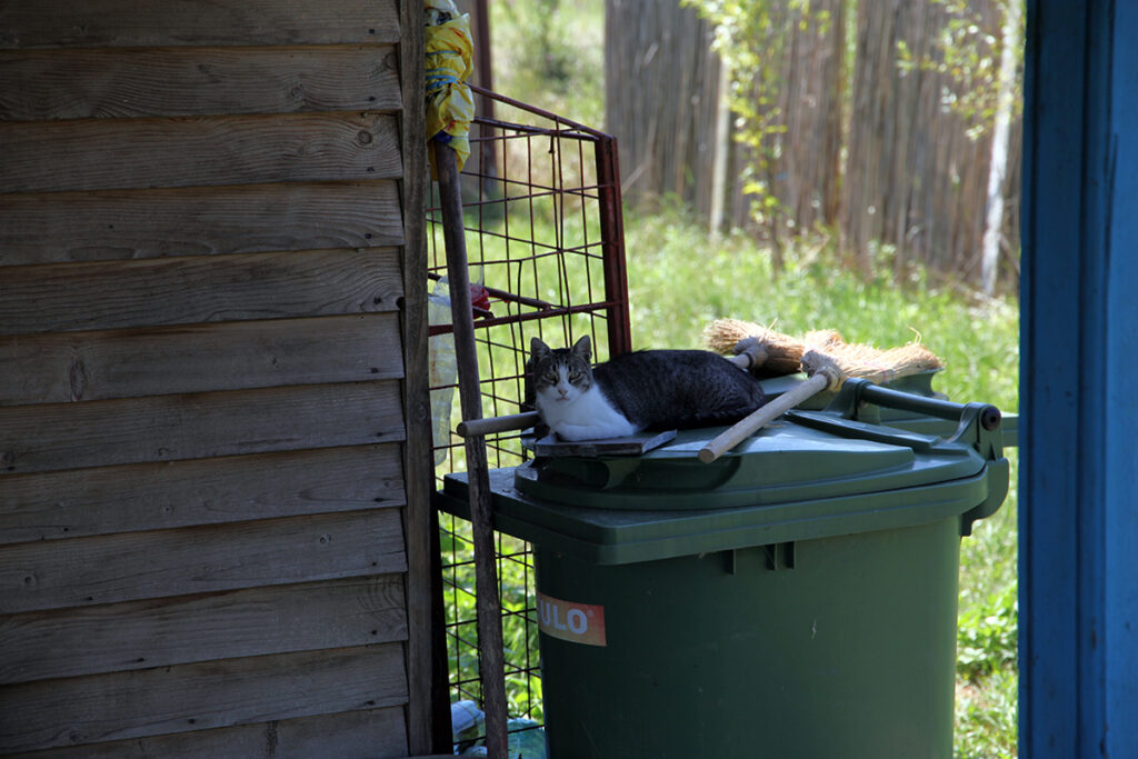 ostrovu tataru chilia case stuf penitenciar detinuti