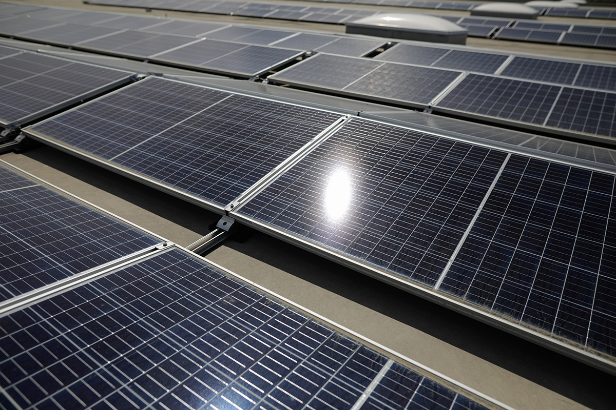 panouri fotovoltaice