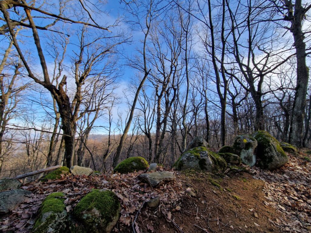 muntii macin rezervatie naturala parcul muntii macin varful tutuiatu roci stanci munti hercinici padure expeditie drumetie vacanta concediu turisti tulcea greci (29)