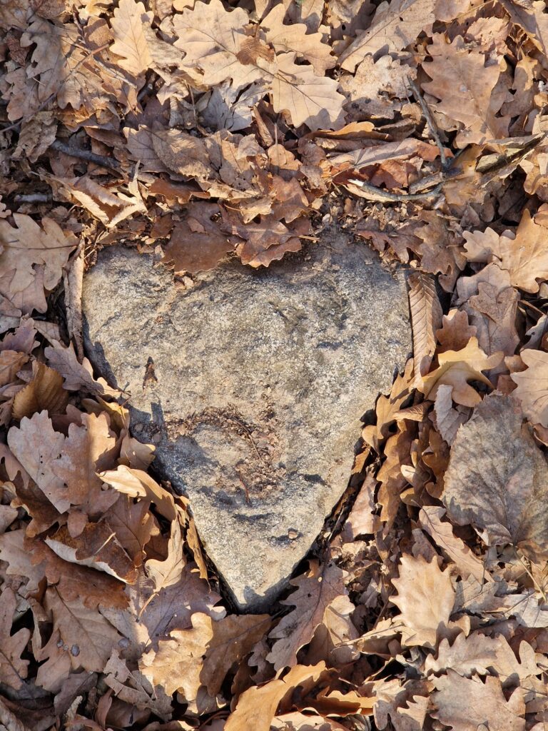 muntii macin rezervatie naturala parcul muntii macin varful tutuiatu roci stanci munti hercinici padure expeditie drumetie vacanta concediu turisti tulcea greci (6)