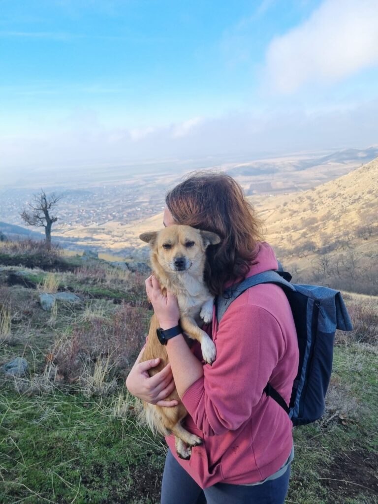 muntii macin rezervatie naturala parcul muntii macin varful tutuiatu roci stanci munti hercinici padure expeditie drumetie vacanta concediu turisti tulcea greci (29)