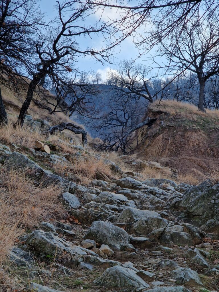 muntii macin rezervatie naturala parcul muntii macin varful tutuiatu roci stanci munti hercinici padure expeditie drumetie vacanta concediu turisti tulcea greci (6)