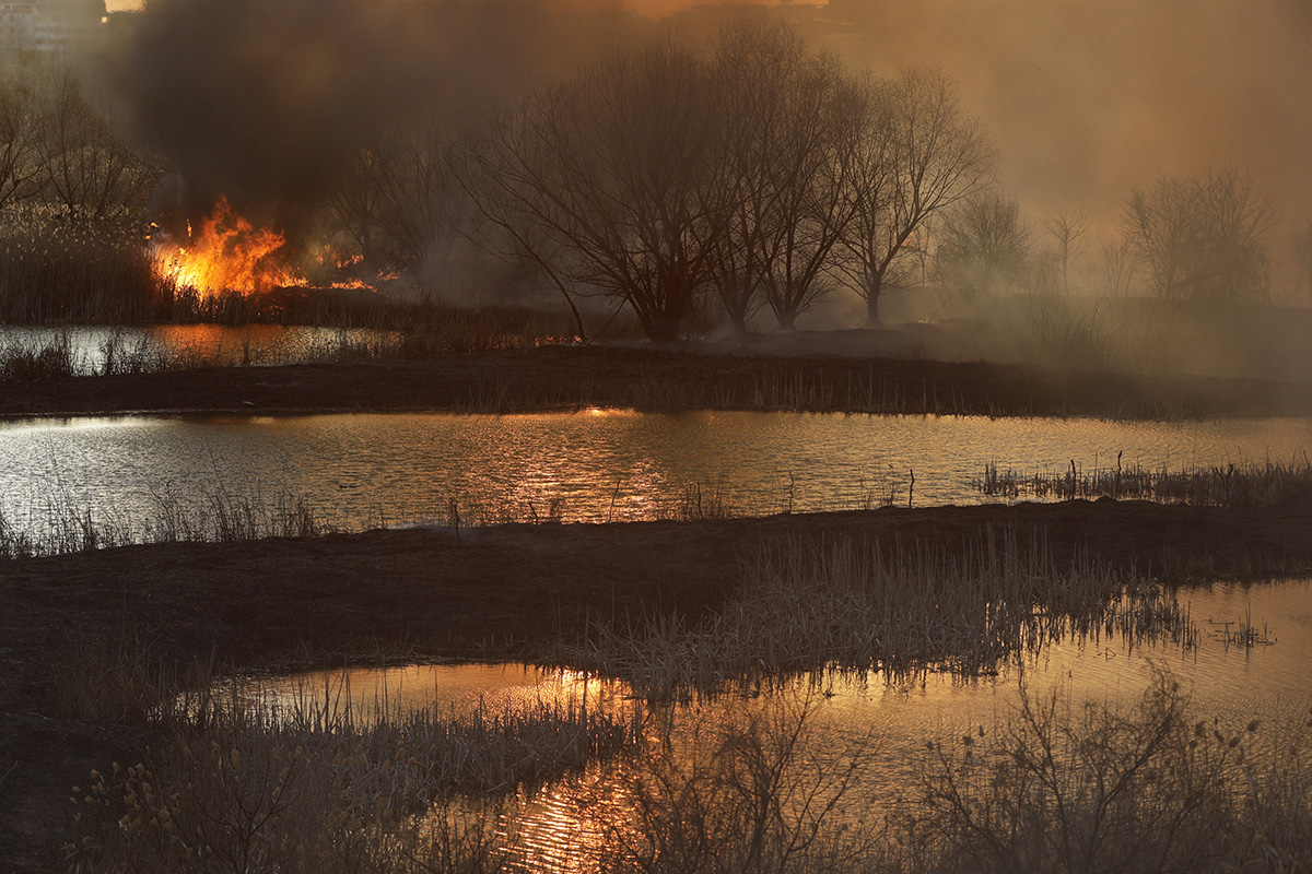 delta vacaresti incendiu vegetatie foc