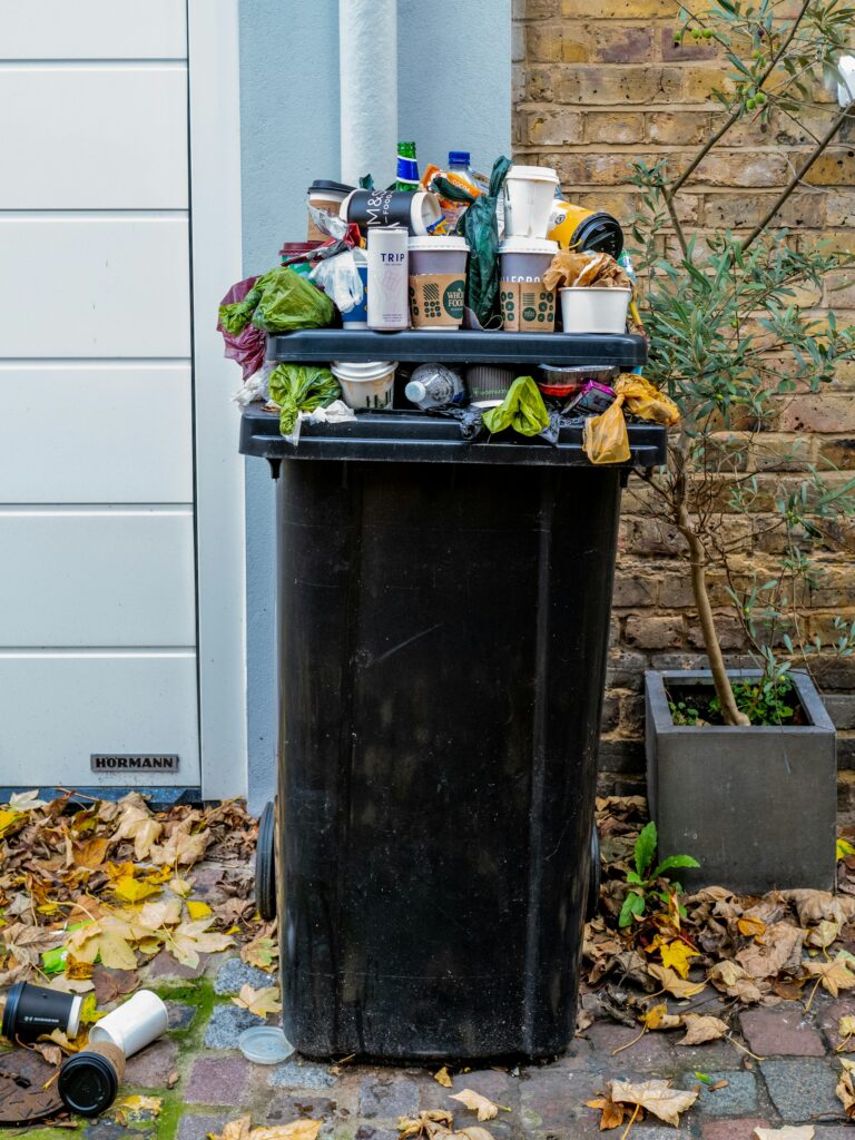 gunoi menajer, reciclare, cos gunoi