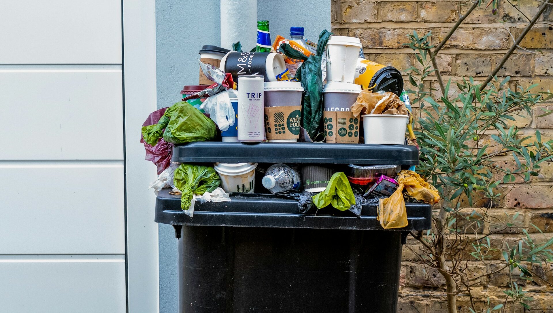 gunoi menajer, reciclare, cos gunoi