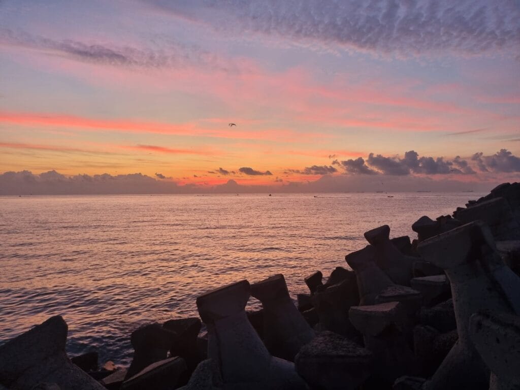rasarit pescarus soare litoral marea neagră plaja dimineata constanta