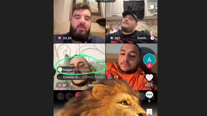 bogpr bogdan peschir tiktok calin georgescu micula