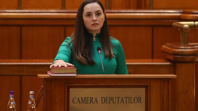 anamaria gavrila pot