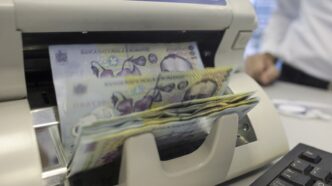 bani lei numerar cash