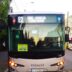 ct bus elevi