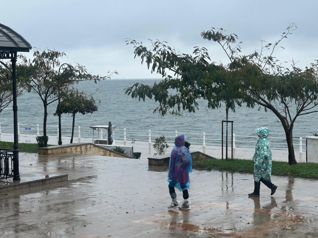 cod rosu ploi constanta