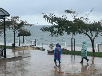 cod rosu ploi constanta