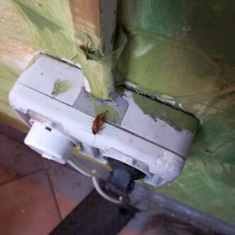 opc constanta gandaci