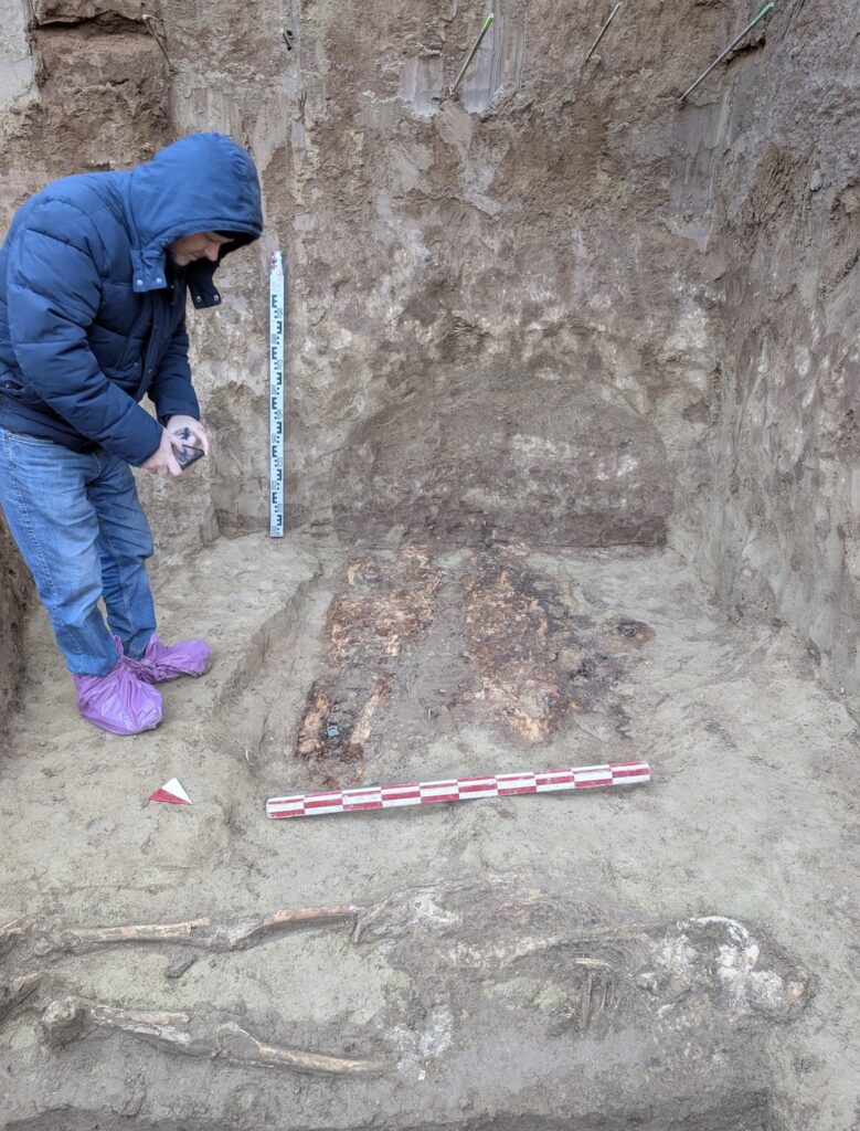 morminte spital boli infectioase