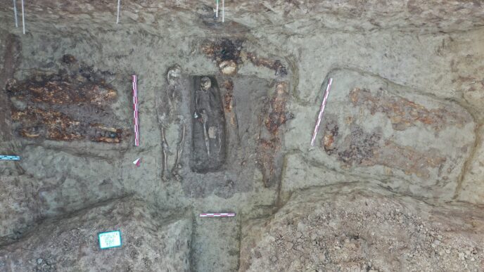 morminte spital boli infectioase