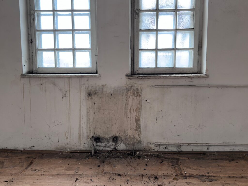 muzeul de istorie constanta