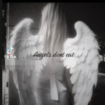 angels-dont-eat
