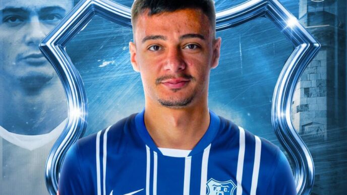 valentin ticu