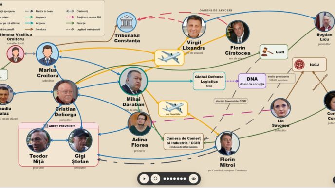 grafica magistrati oameni de afaceri constanta